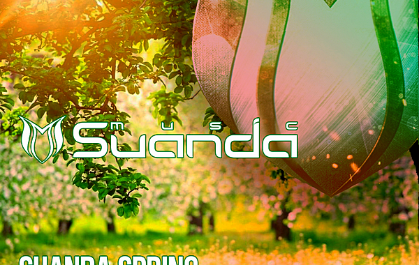 VA - Suanda Spring Vol.6 (2019) MP3