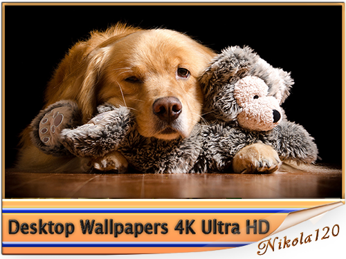 Обои для рабочего стола - Desktop Wallpapers 4K Ultra HD Part 211 [3840x2160] [55шт.] (2019) JPEG