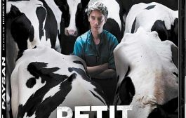 Мелкий фермер / Petit paysan (2017) HDTVRip-AVC