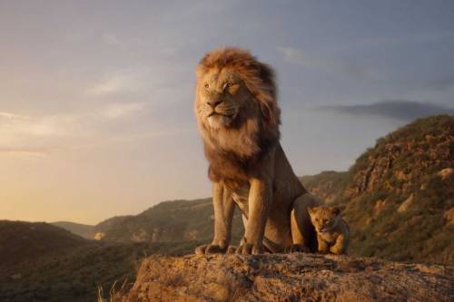 Сиквел «Короля Льва» находится в разработке. Его снимет режиссер «Лунного света»