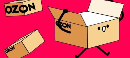  Источник изображения: Ozon 