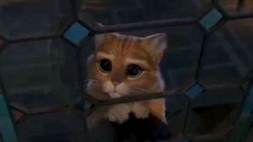  Источник изображения: DreamWorks Animation 