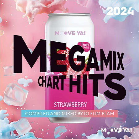 Megamix Chart Hits 2024 (Compiled and Mixed by Flim Flam) (2024) MP3