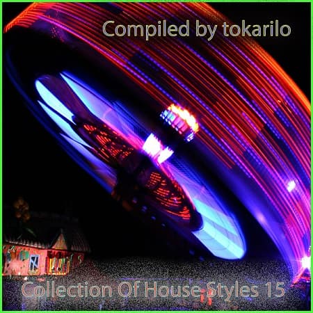 Collection Of House Styles 15 [Compiled by tokarilo] (2024) MP3