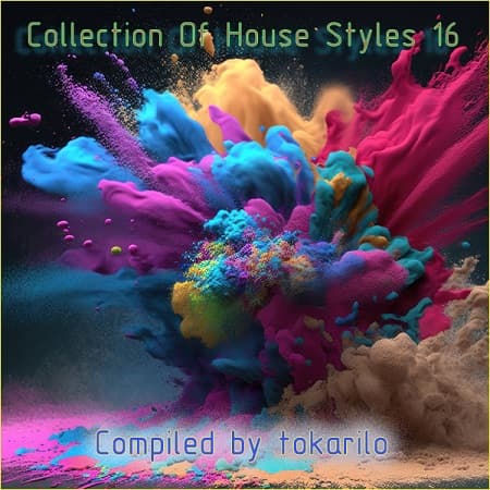 Collection Of House Styles 16 [Compiled by tokarilo] (2024) MP3